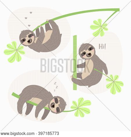 Set Illustration Of A Sloth Hanging On Branch. Cheerful Sloth Winks And Smiles. The Animal Is Restin