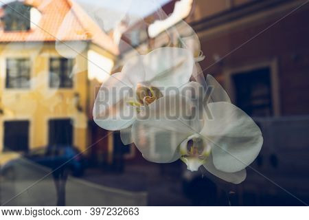 Reflection Of The Old City Of Riga In The Glass Of Window Displays In Summer. Vecriga, Riga, Latvia