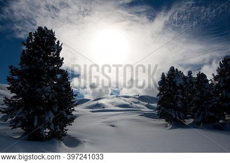 Snow Powder With Skiis Traces. Mountains Ideal For Freeride. Sunny Winter Day. Copy Space