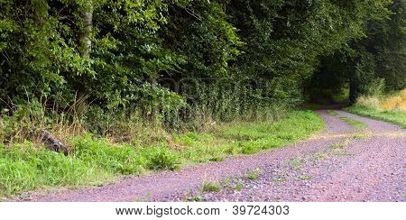 Pause-Stein-StraÃŸe