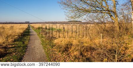 Panorama Of The Walking Path In The Nature Reserve Of Noordsche Veld In Drenthe, Netherlands