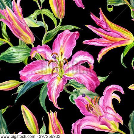 Pink Lily Seamless Pattern On Black Background, Watercolor Illustration, Print For Fabric,lpaper, Wr