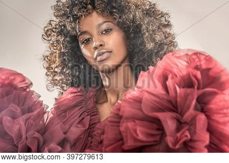 Beauty Portrait Of African American Woman With Afro Hairstyle. Girl Looking At Camera. Elegant Style