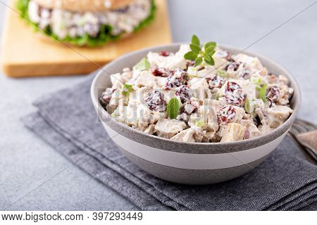 Chicken Salad With Dried Cherry And Celery, Served On Bread