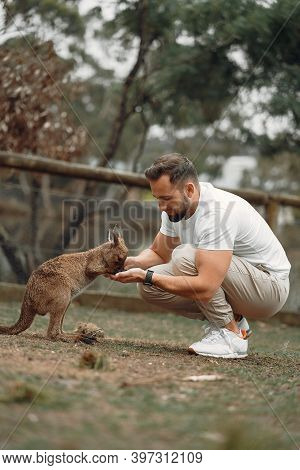 Man In The Reserve Is Playing With A Kangaroo