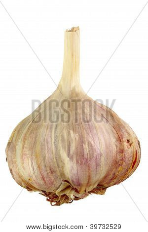 Knoblauch, isoliert