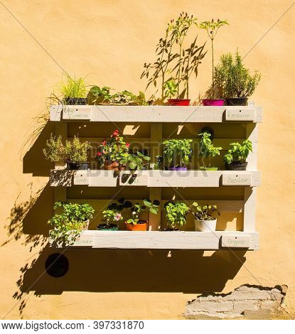 A Collection Of Herbs And Other Plants Displayed On A Painted Wooden Pallet On A Wall Outside A Hous