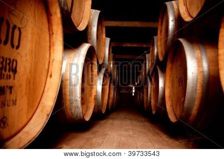 Wine Cellar