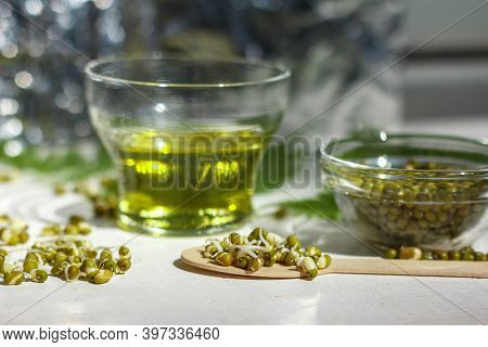 Sprouts Of Mung Beans For Salad, Taste Like Young Green Peas. Close Up. Vegetarian Food, Lenten Menu