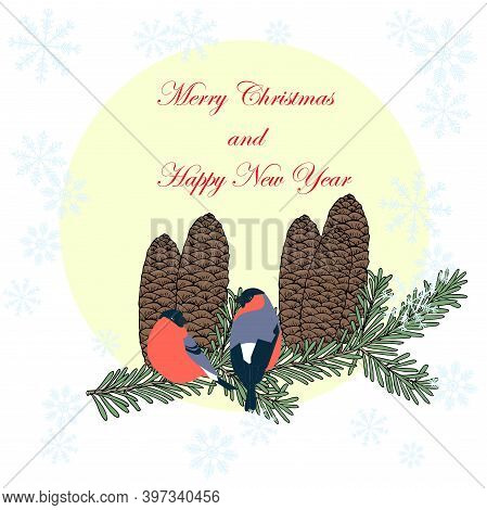 Merry Christmas And Happy New Year Banner Red Bulfinch Fir Green Tree Branch Blue Snowflakes