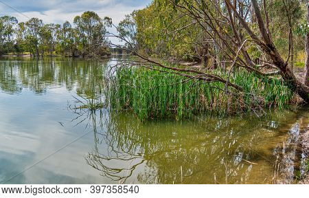 The Alcoa Wellard Wetlands Provide A Refuge For Water Birds During Autumn When Hot Summer Weather Ha