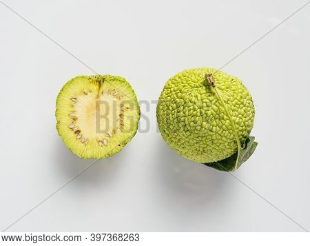 Green Fruit Of Maclura Pomifera, Osage Orange, Horse Apple, Adam Apple Grow On White Background. Who