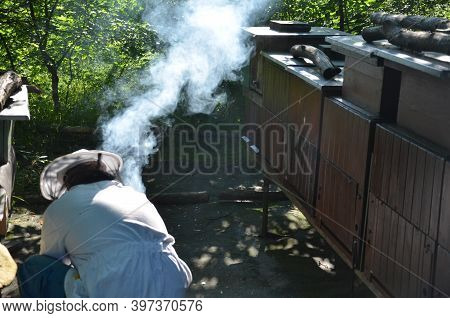 The Beekeeper Kneels In A White Jumpsuit With A Hood And A Hat To The Smoker Who Must Light To Burn 