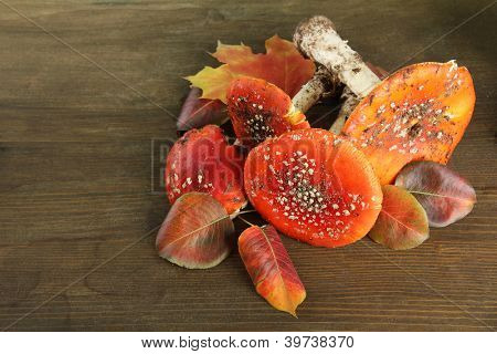 červená amanitas, na dřevěné pozadí