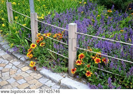 Flower Beds Tend To Be More Aesthetically Impressive. A Flowerbed Of A Sidewalk Path With Blue Flowe