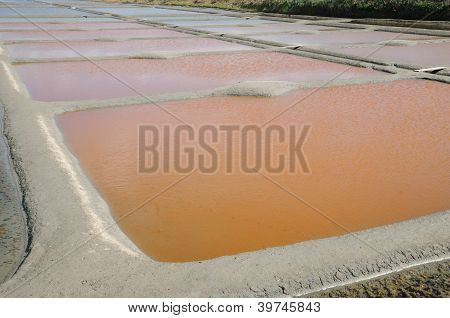 ฝรั่งเศส เกลือใน Guerande
