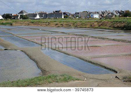 ฝรั่งเศส เกลือใน Guerande