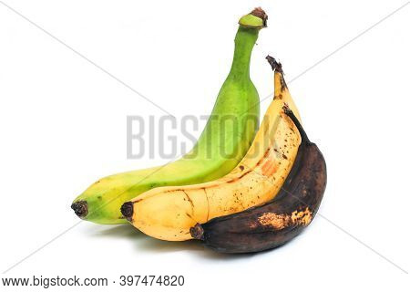A Picture Of Three Ordinary Bananas, Without Modifications..as You Know From The Shop. The Picture S