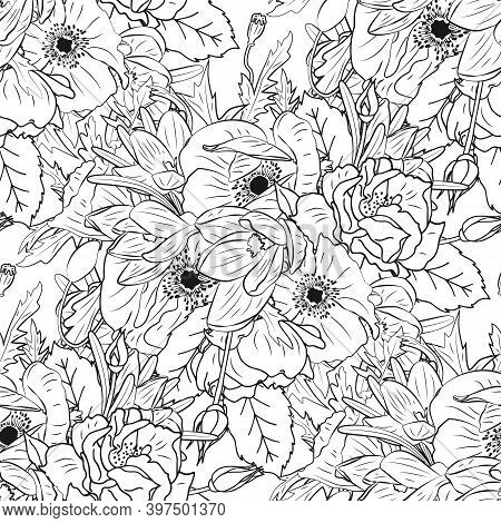 Monochrome Floral Seamless Pattern With Hand Drawn Rose, Poppy And Crocus Flowers. Stock Vector Illu