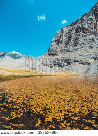 Yellow Autumn Leaves Floating On Lake's Water. Mountain Lake Landscape Between Bolkar Mountains. Pan