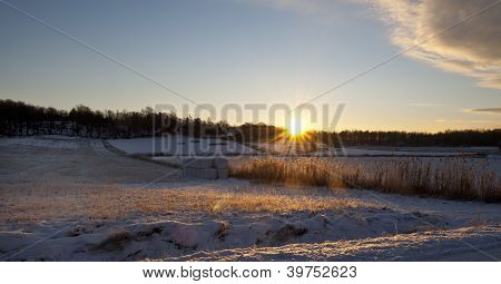 Winter Sun Rising sul paesaggio agricolo