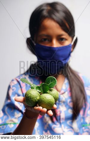 Yogyakarta, Indonesia. November 29, 2020: Kaffir Lime Or Citrus Hystrix Held The Hand Of A Young Wom