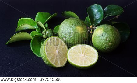 Kaffir Lime Or Citrus Hystrix. Some Are Whole, Some Have Been Sliced. Focus Selected, Black Backgrou