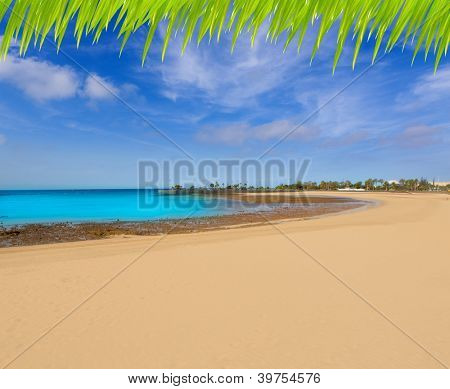 มุมมองทางอากาศหาดเฟ่อตพลายาเดลริดัคโตในหมู่เกาะคะเนรี