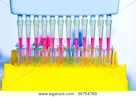 Wissenschaftliche Chemielabor Multi-Kanal-Pipette und Reagenzgläser