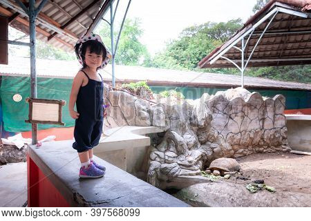 Cute Children Visit The Zoo. Child Stand On Edge Of Pond Who Feed Land Turtles. Kid Learn About Turt