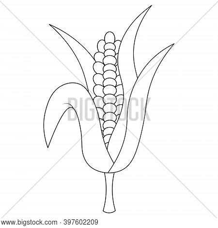Corn. An Ear Of Corn Is Wrapped In Leaves. Vector Illustration. Outline On An Isolated White Backgro