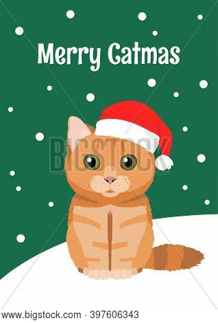 Christmas Greeting Card With British Cat Wearing Red Santa Hat. Inscription Merry Catmas. Minimalist