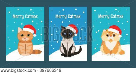 Merry Christmas Greeting Cards Set With Lovely Cats Wearing Red Santa Hats: Persian Cat, Siamese Cat