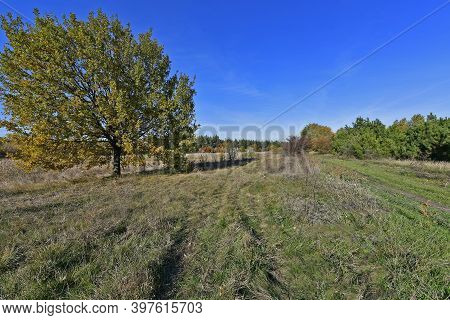 Korolyovka - Village, Nikolaevsky Village Council, Novomoskovsky District, Dnepropetrovsk Region, Uk