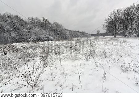 Korolyovka - Village, Nikolaevsky Village Council, Novomoskovsky District, Dnepropetrovsk Region, Uk