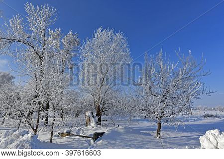 Korolyovka - Village, Nikolaevsky Village Council, Novomoskovsky District, Dnepropetrovsk Region, Uk