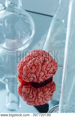 Science Lab Bloody Human Brain For Science Experiments And Education On Anatomy