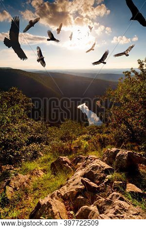 Flock Of Menacing Circling Turkey Vultures Hover High Up In The Sky At Mount Minsi And Tammany