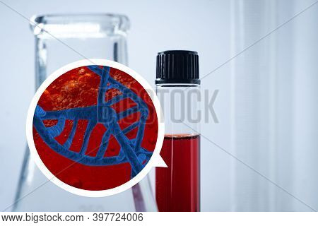 Medical Test Tube With Blood Dna Sample For Laboratory Medical Testing