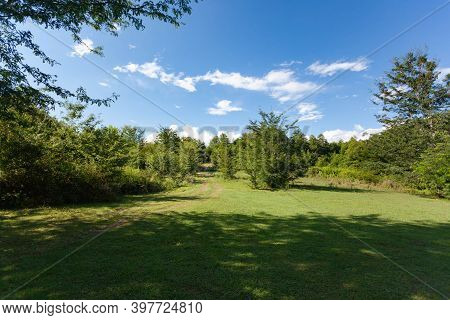 Beautiful Green Glade Against The Bright Blue Sky With Clouds, Around Grow Green Trees, Along The Cl
