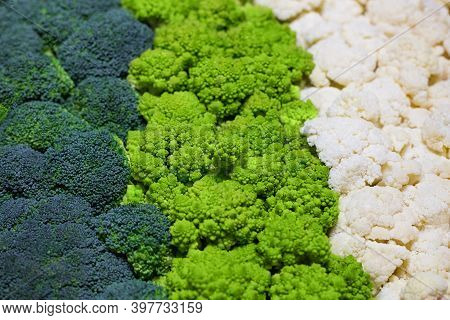 Set Of Broccoli, Cauliflower And Roman Cauliflower. Zero Waste And Vegan Concept. Fresh Cabbage Back
