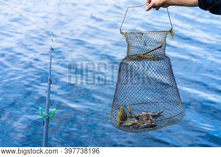 Fish Catch In A Net Box. Fishing Hobby And Leisure. Silent Hunting