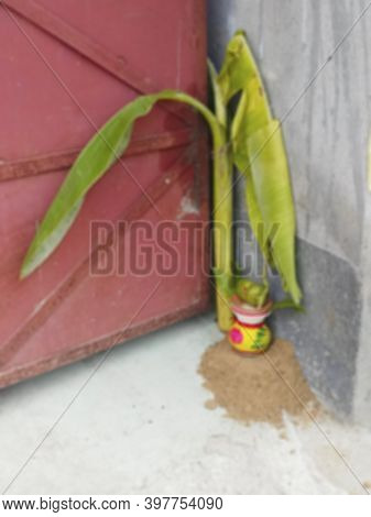 Blurred Image Of A Mangal Kalas With Coconut And Banana Tree Leaves Placed Outside A Factory Gate Du