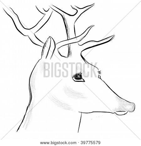 Herten tekening