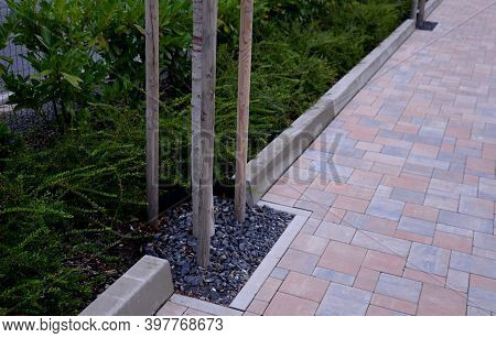 Location Of The Tree In The Sidewalk On The Edge Of The Curb Mulched With Gravel Brown Interlocking 