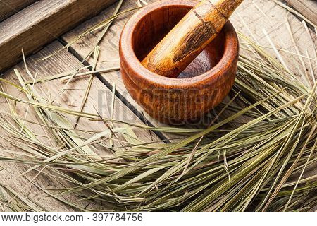 Hierochloe In Herbal Medicine