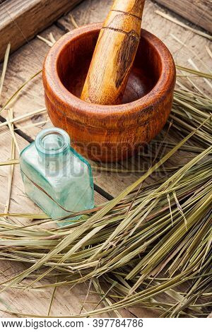 Hierochloe In Herbal Medicine