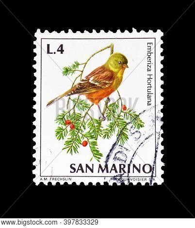 San Marino - Circa 1972 : Cancelled Postage Stamp Printed By San Marino, That Shows Ortolan Bunting 