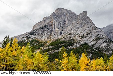 Fall Colours At The Base Of Mount Galatea. Spray Valley Provincal Park, Alberta, Canada