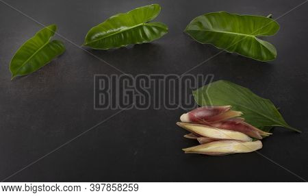 Mioga With An Leaves On Black Background